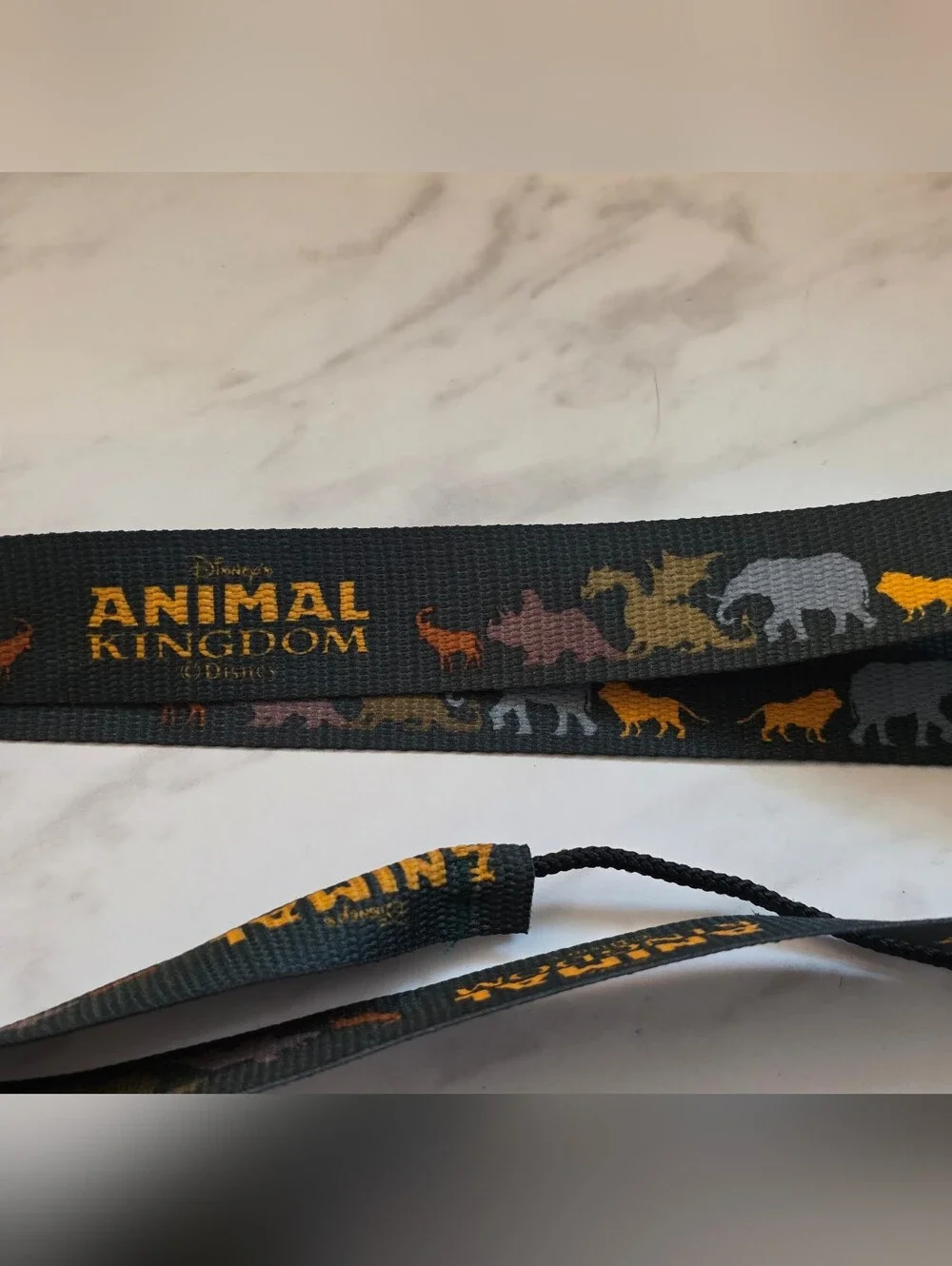 Animal Kingdom water bottle laynard with Multicolor Animal Silhouettes